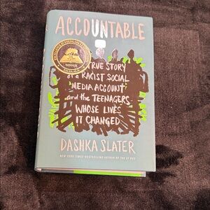 Accountable by Dashka Slater - Blue & Pink Hardcover